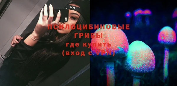 герыч Алексин