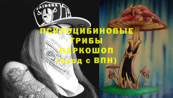 спайс Алексеевка