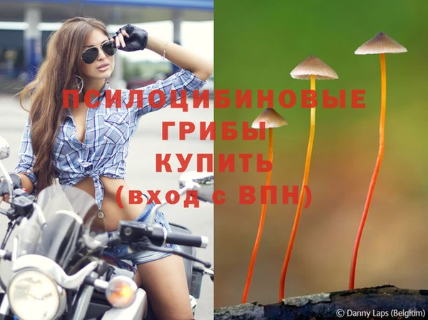 спайс Алексеевка