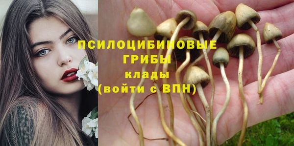 спайс Алексеевка